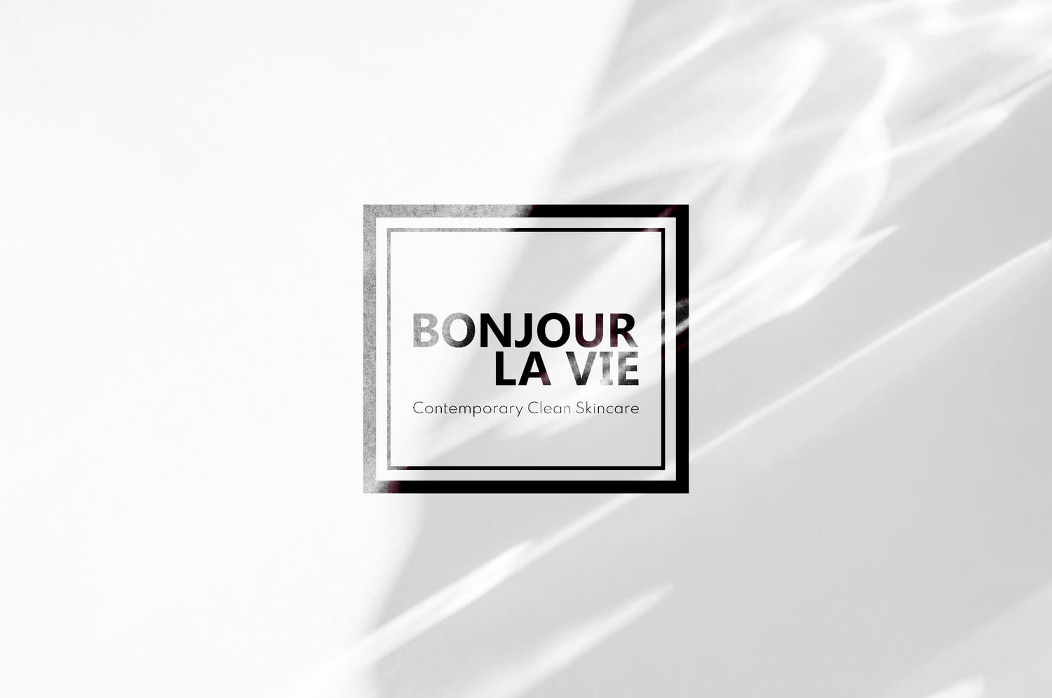 Immagine del logo di Bonjour La Vie